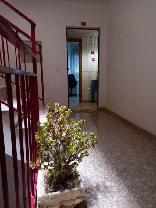 Apartamento Tranquilo Cerca De Zonas Verdes Сиеза Екстериор снимка